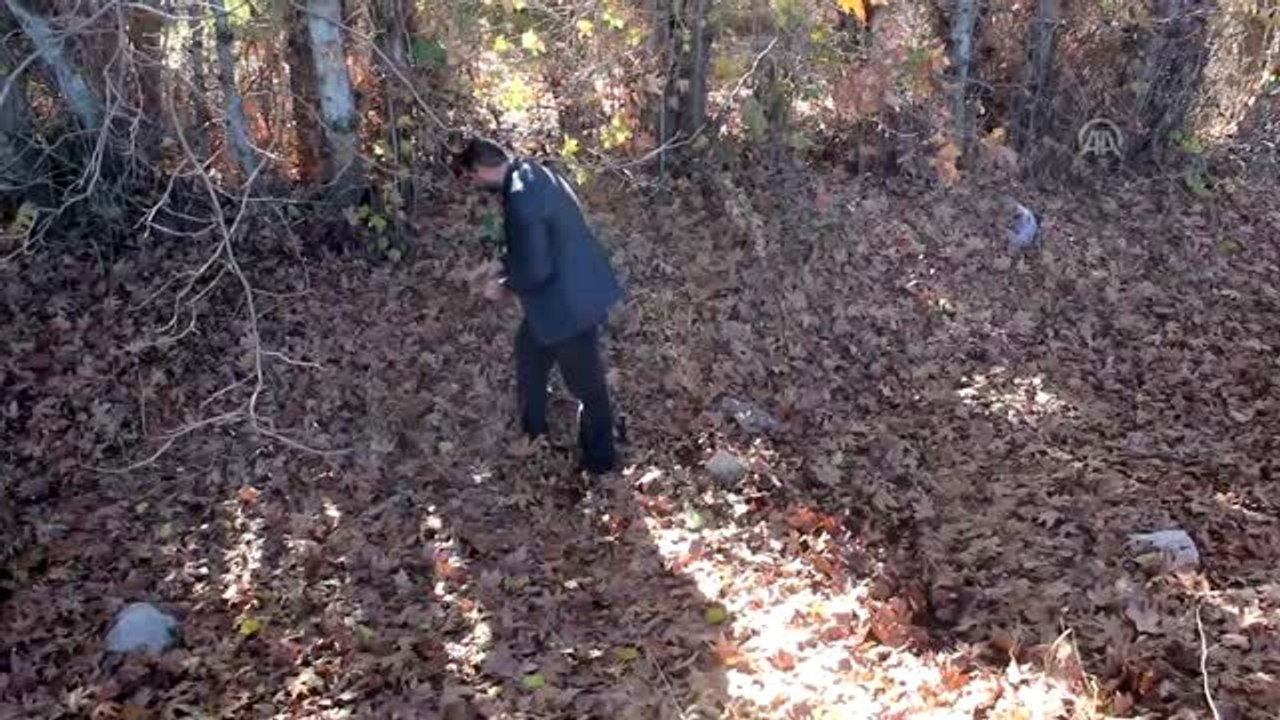 Sonbahar yaprakları "hat çalışması" ile sanat eserine dönüşüyor - ŞANLIURFA