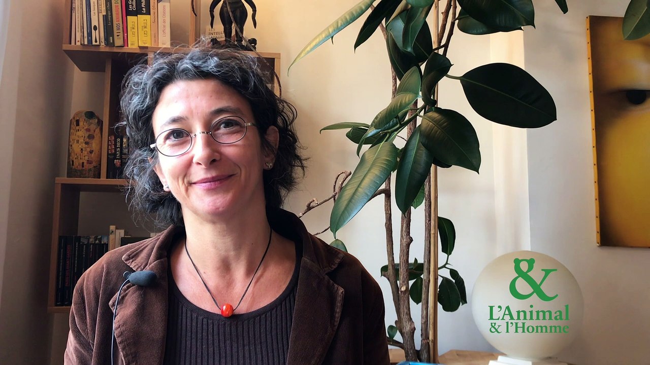 Interview 1 de Albane Gellé : La poésie du sanglier