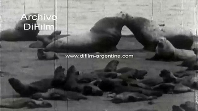 Arctic Thrills Eskimo Land Greenland Seals Polar Bears 1933