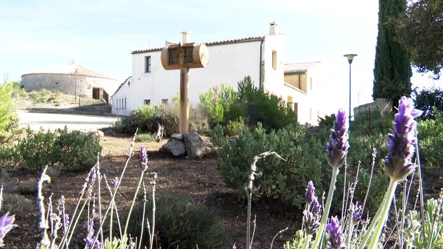 Nace Bee&Bee, la primera cadena de hoteles para abejas