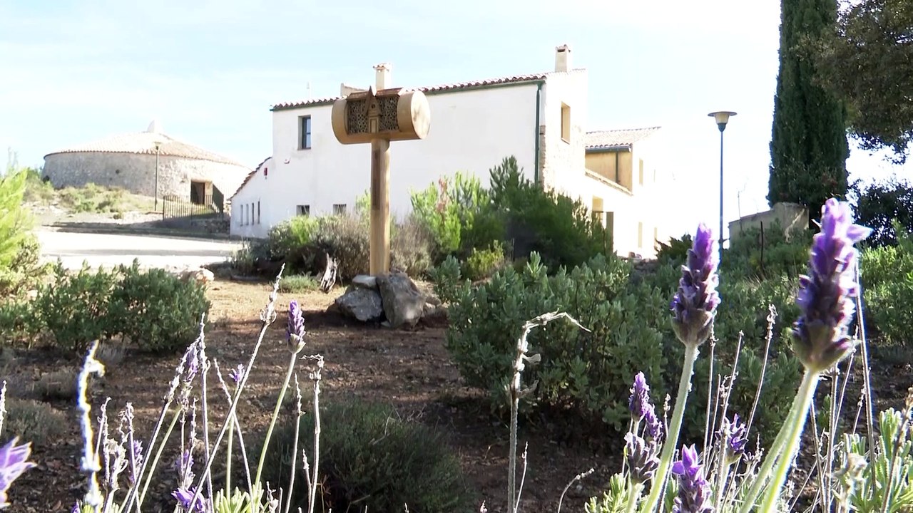 Nace Bee&Bee, la primera cadena de hoteles para abejas