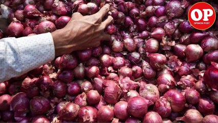 AAP MPs protest in Parliament Wearing onion garlands