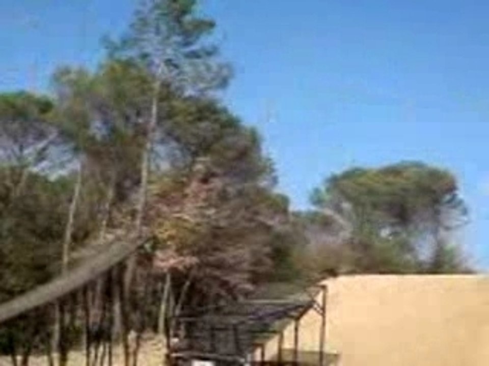 Yohan 250