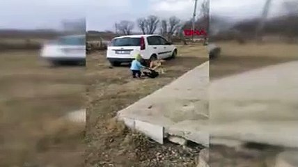 Sokak köpeğini ısırmaya çalışan minik Miraç güldürdü