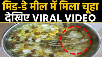 UP के Muzaffarnagar मे MidDay Meal में परोस दी चूहे वाली दाल, देखें VIDEO | वनइंडिया हिंदी
