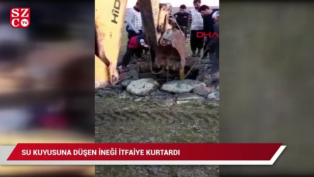 Su kuyusuna düşen ineği itfaiye kurtardı