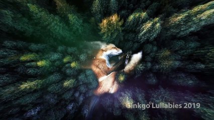 ❈❈❈ Little sleeper baby fox ❈❈❈ Schumann lullaby by Ginkgo Lullabies channel