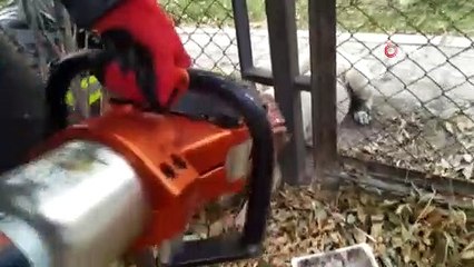 Kafası tel örgüye sıkışan köpeği itfaiye kurtardı