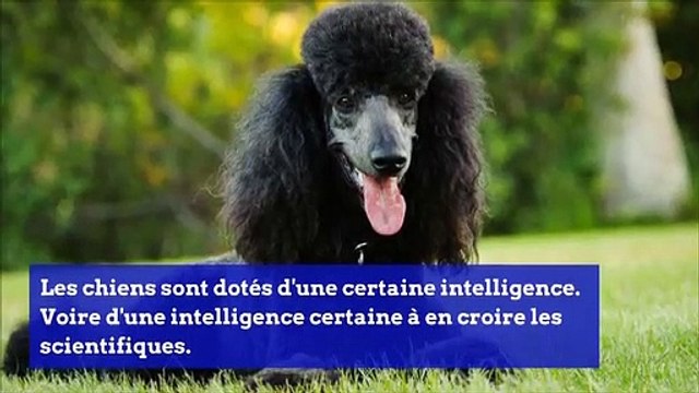 Les actualités Sciences de la semaine 04122019