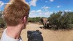Wildlife photographer captures his closest encounter yet - with a gentle elephant herd in South Africa
