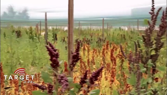 Crisi alimentare: ci salverà la biodiversità della natura