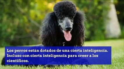 Ciencia de la semana noticias 04122019