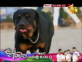 Sihinayaki Seya 04 December 2019