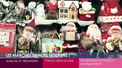 Toutes vos sorties dans la Loire!