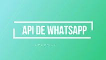 API de WhatsApp  para automatizar mensajes, y generar prospecto y clientes potenciales