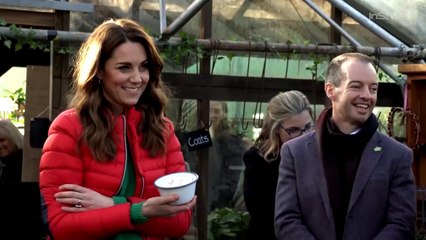 Kate Middleton Picks Out Christmas Trees