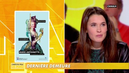 Marie-Antoinette : icône pop