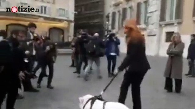 Michela Brambilla porta un maiale al guinzaglio in piazza Montecitorio | Notizie.it