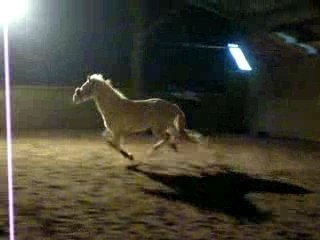 Orpailleur qui se defoule