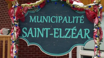 04 dec PG Reseau cellulaire - Topo HD