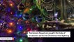 See: Aquarium Uses Electric Eel To Illuminate Christmas Tree