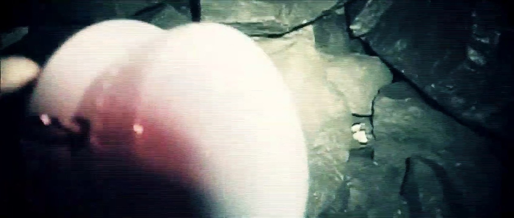 Crypsis movie clip - CAVE