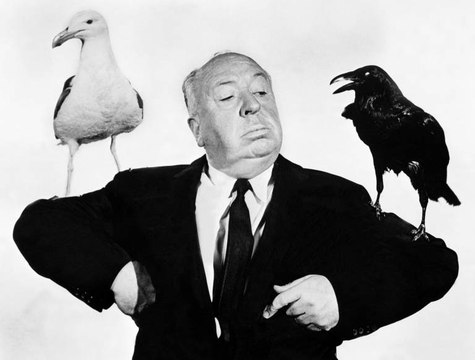 'Los pájaros' de Alfred Hitchcock