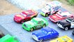Disney Cars Lightning Mcqueen Toys with Learn Colors for Kids