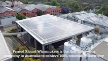 Pernod Ricard Winemakers: First Large Australian Wine Company to Achieve 100 Percent Renewable Electricity