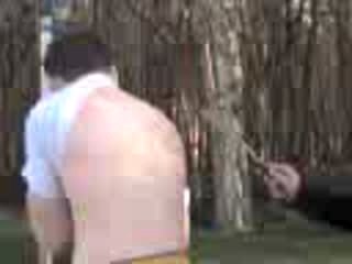 Bibiche à la Spatule 🍽️