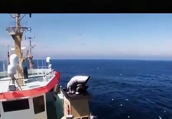 인터넷경마 G D S P 2 , CoM ミミ 온라인경마