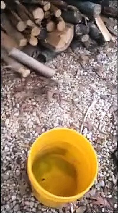 Bucket Flushing my 3 toilets with a big bucket