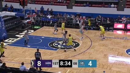 BJ Johnson (22 points) Highlights vs. Greensboro Swarm
