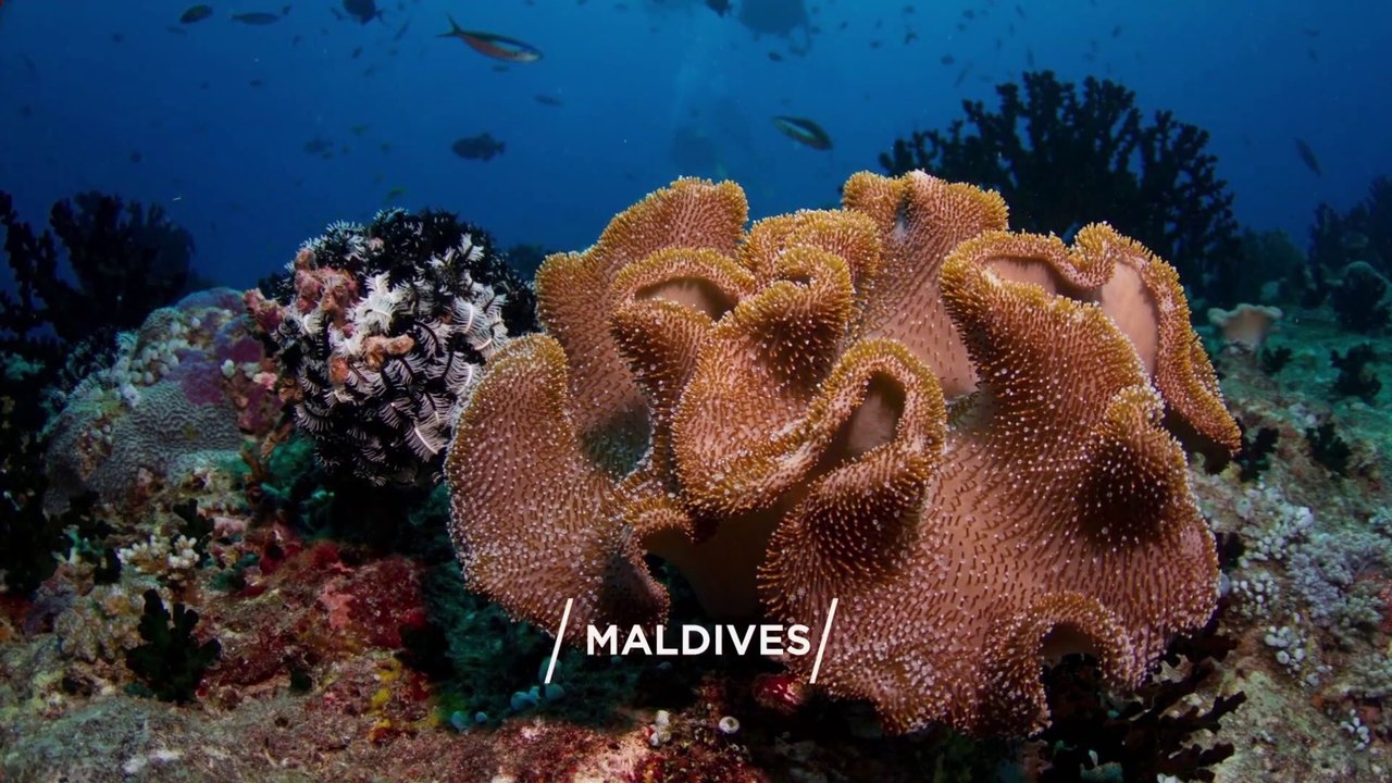 "MALDIVES" Top 50 Tourist Places | Maldives Tourism