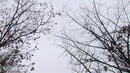 [날씨] 추위 속 수도권 곳곳 약한 눈...빙판길 유의 / YTN