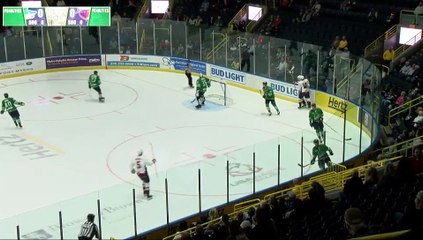 Game Recap - South Carolina Stingrays at Florida Everblades