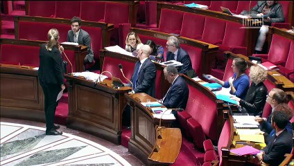 1ère séance : Equilibre dans le secteur agricole et alimentaire (suite) - Mercredi 4 décembre 2019