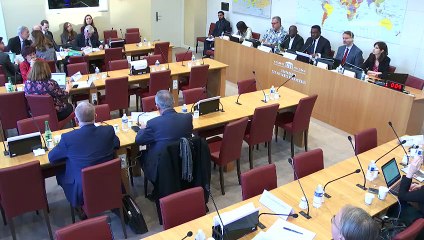 Commission des affaires étrangères : Droit international humanitaire à l'épreuve des conflits  - Mercredi 4 décembre 2019