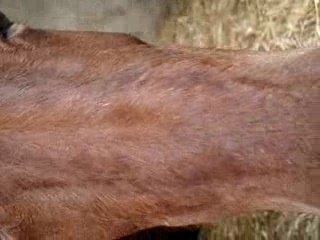 Flèche trop belle ^^