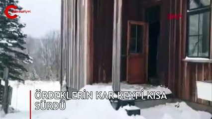 Kahkahalar atarak kaydetti, 10 milyon kişi izledi