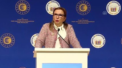 Pekcan: "Tedarik ve Dağıtım Kooperatifi modelini oluşturduk"