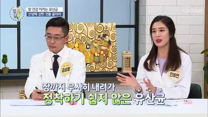 장벽에 착착~! 'LGG 유산균'과 '일반 유산균'의 차이