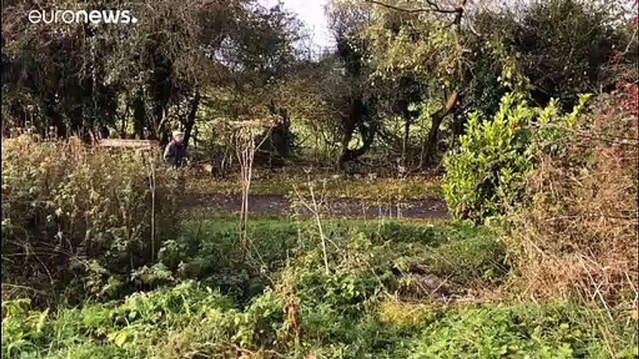 Irland: Die Bauern und das Klima