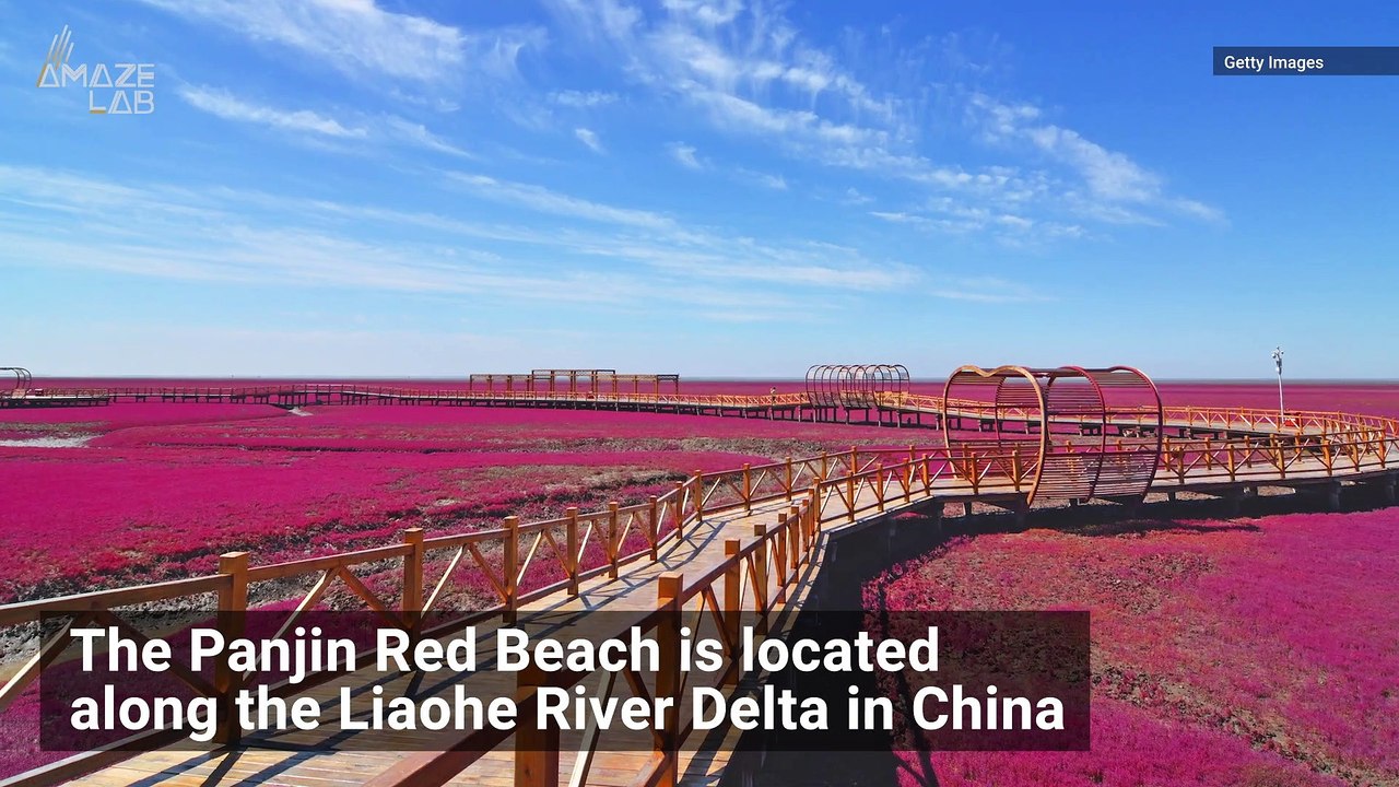 Crimson Beach in China Looks Like it Belongs on...