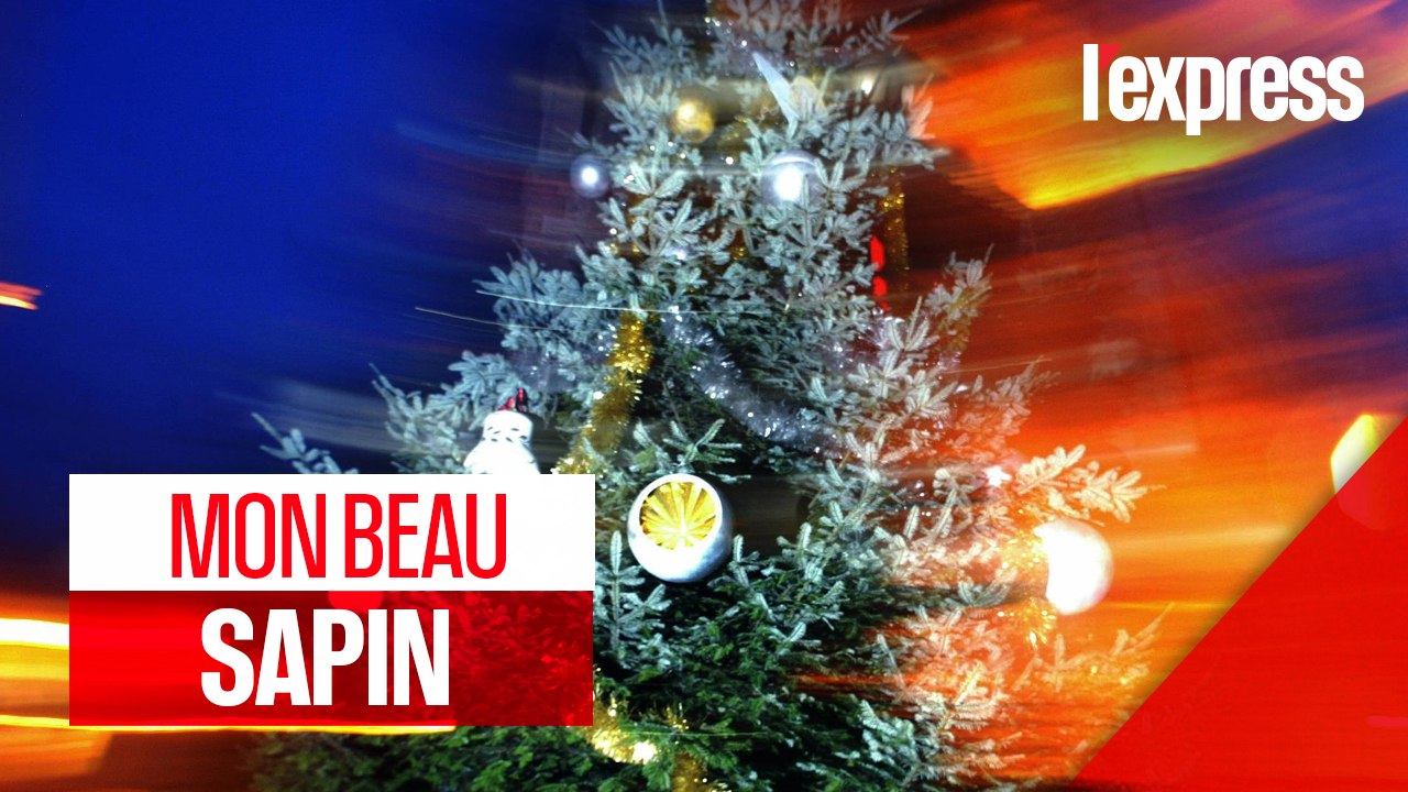 Avant Noël, les sapins ont eu chaud