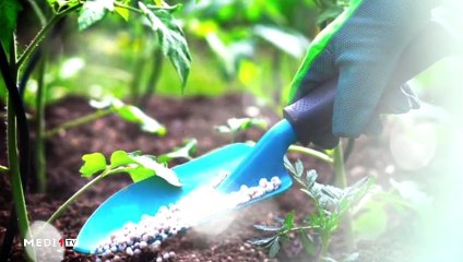 يوميات الفلاح - 05/12/2019