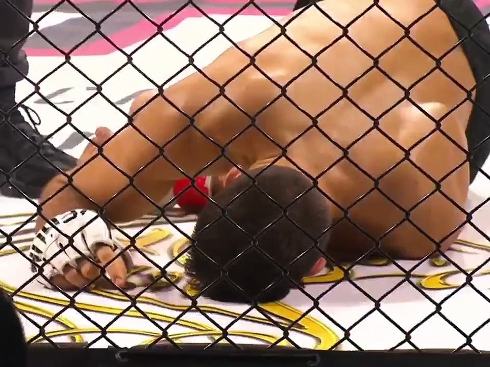 Lutadores de MMA (quase) sofrem KO simultâneo numa luta em Lisboa