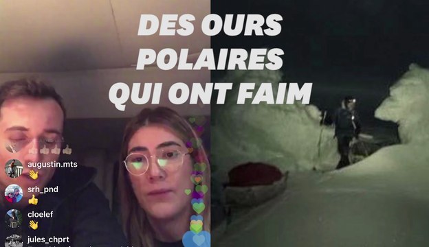 Mike Horn démuni face à des ours polaires maigres et affamés au Pôle Nord
