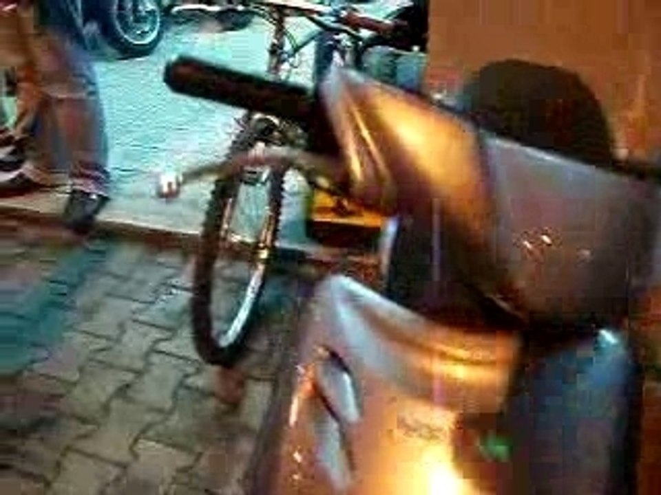 Anis loco