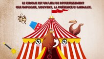 Paris interdit les animaux sauvages dans les cirques